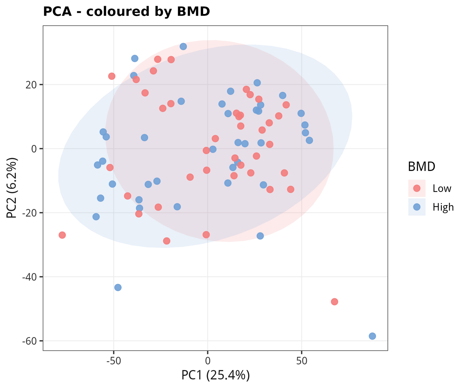 PCA coloured by BMD. The two clouds overlap heavily — BMD signal is subtle in monocyte transcriptome.