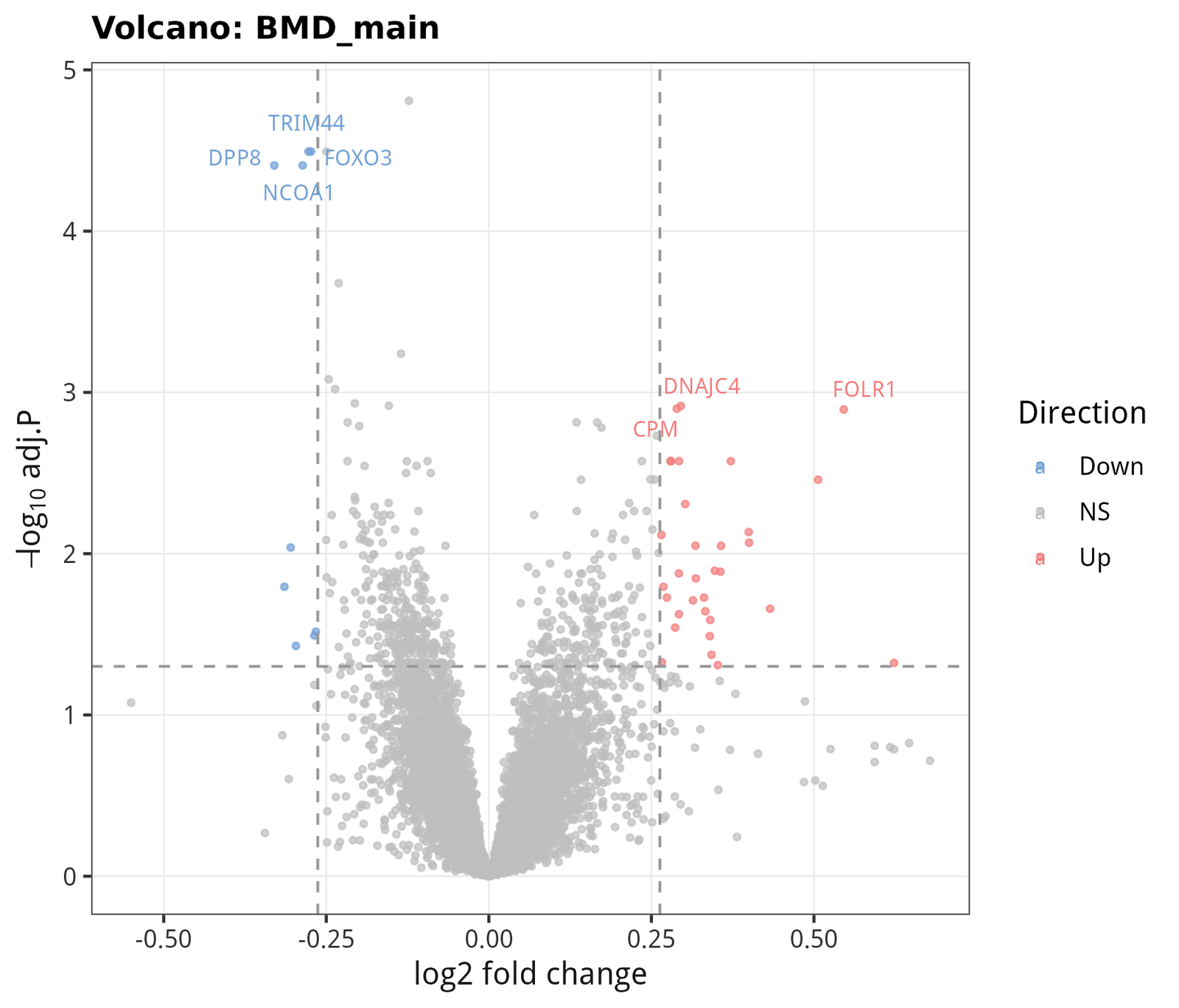 Volcano — BMD main effect (High vs Low, both menopausal states).