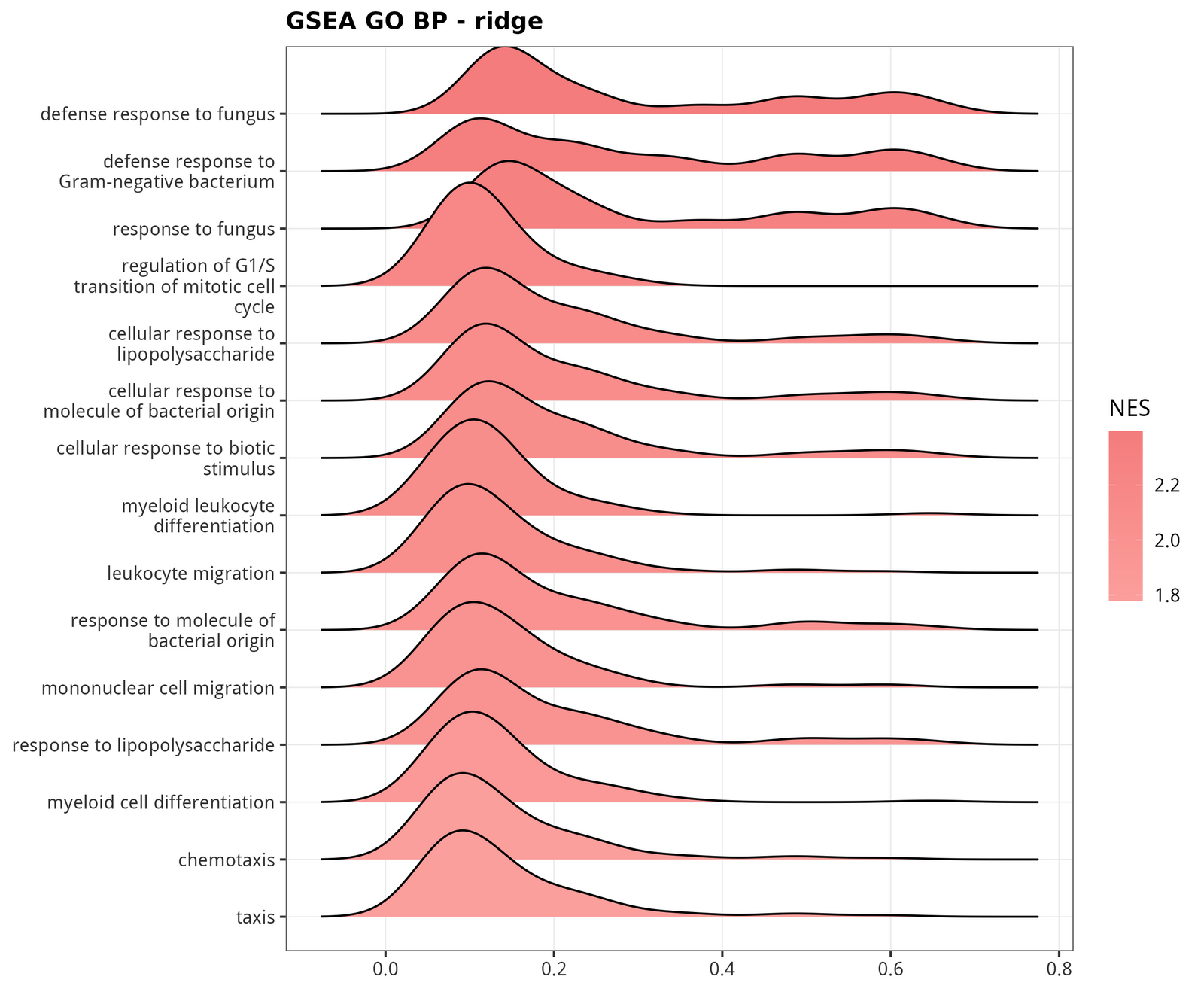 GSEA on GO BP, top pathways shown as ridges coloured by NES.