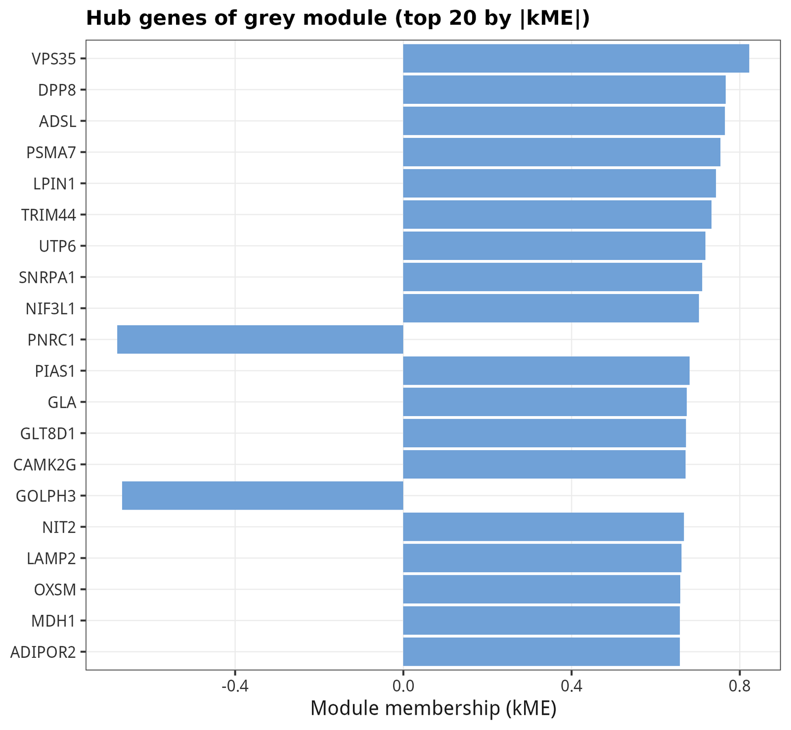 Top-20 hub genes ranked by |kME|. VPS35, DPP8, ADSL, PSMA7, LPIN1, TRIM44 占据前列。
