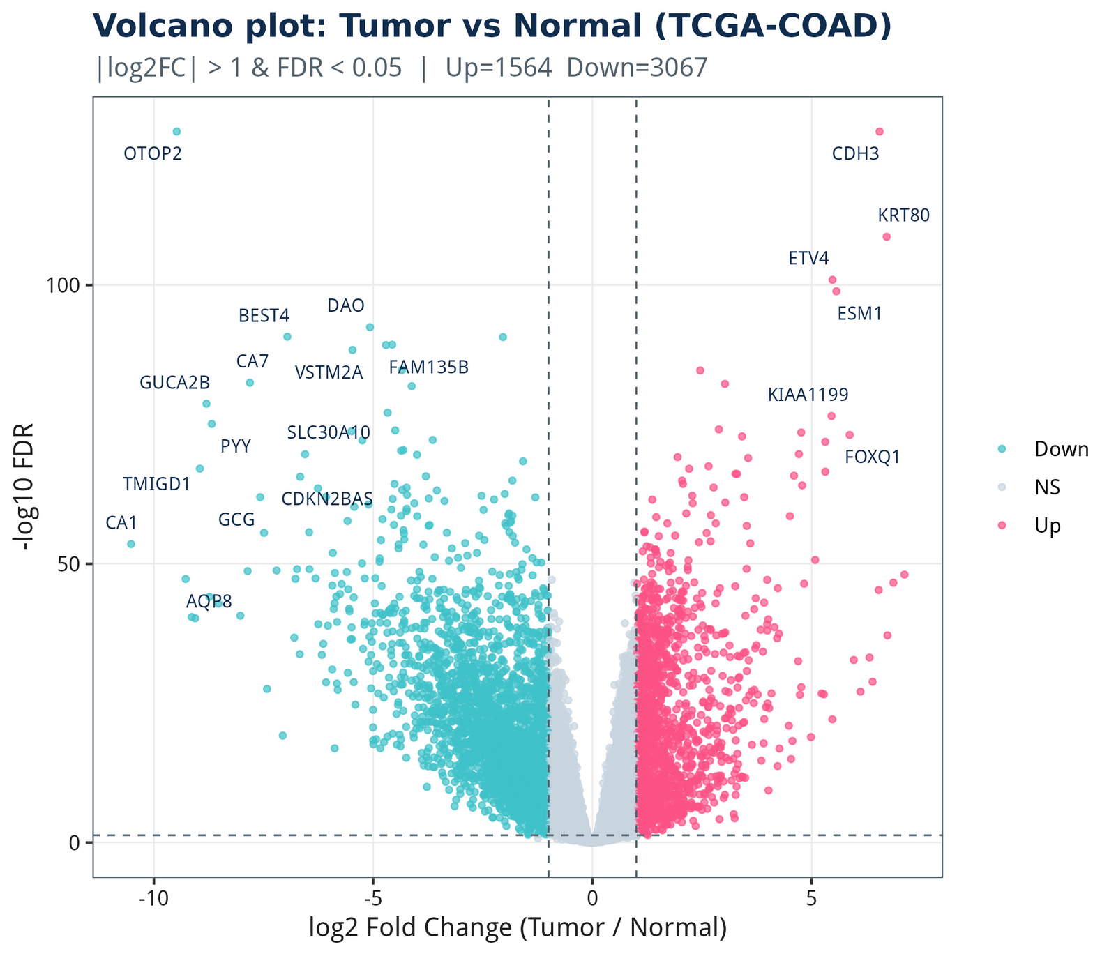 figure /cases/tcga-coad-deg-subtype/fig02.png