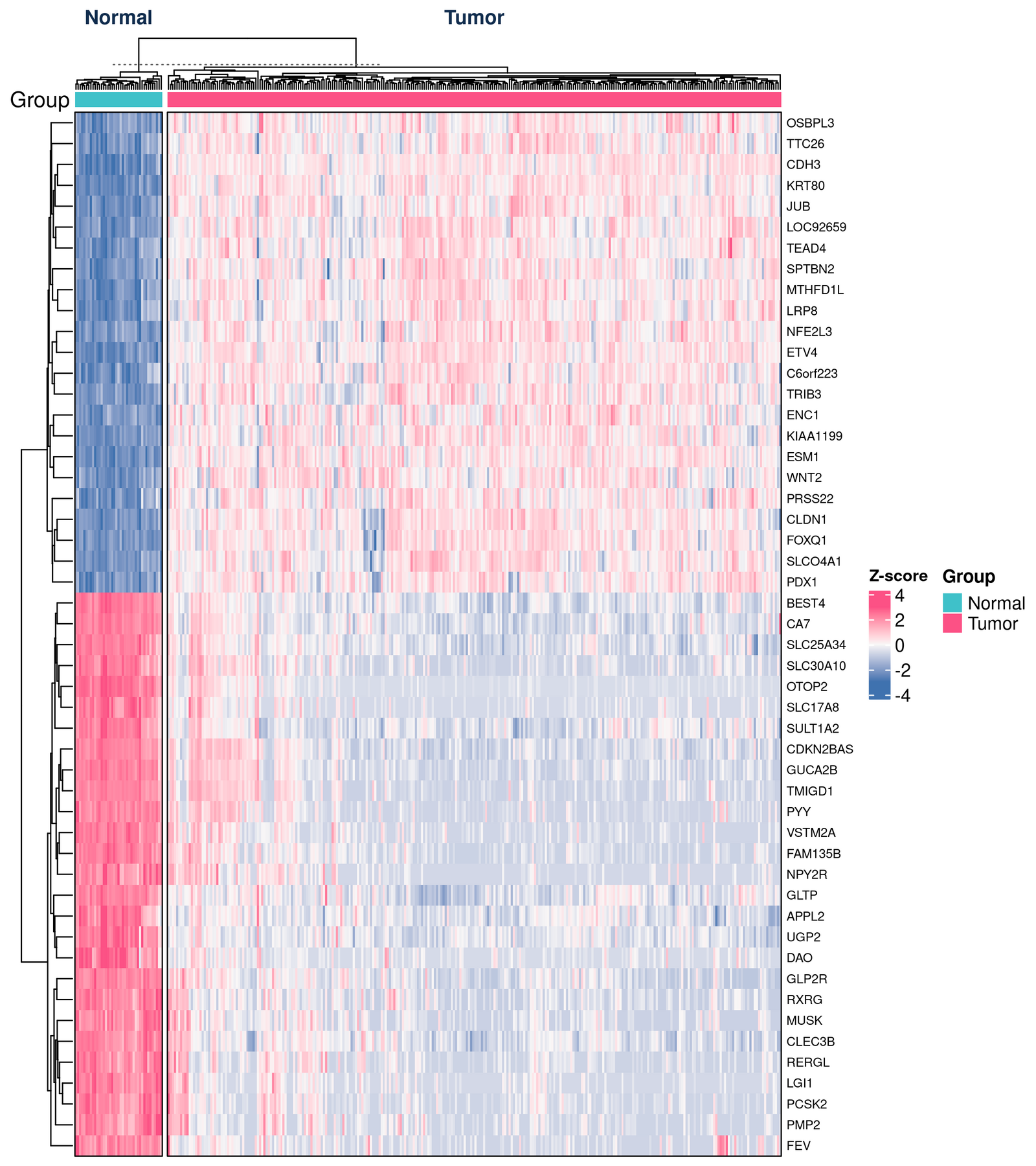 figure /cases/tcga-coad-deg-subtype/fig03.png