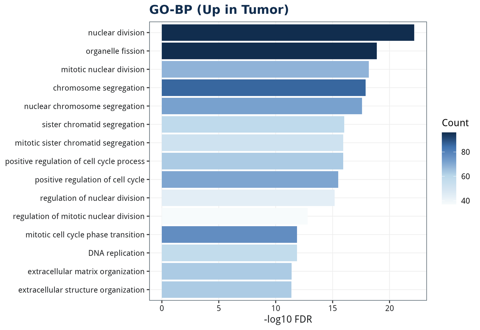 figure /cases/tcga-coad-deg-subtype/fig11.png