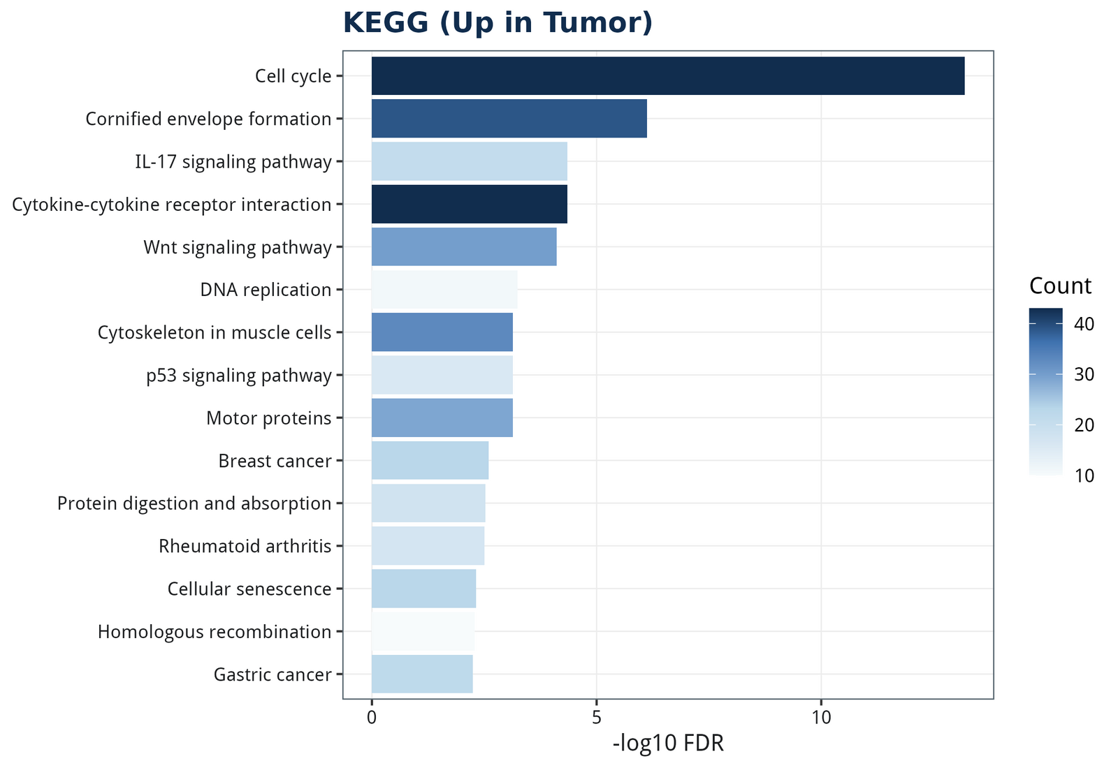 figure /cases/tcga-coad-deg-subtype/fig12.png