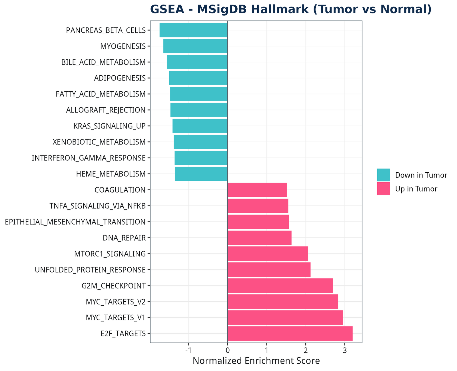 figure /cases/tcga-coad-deg-subtype/fig13.png