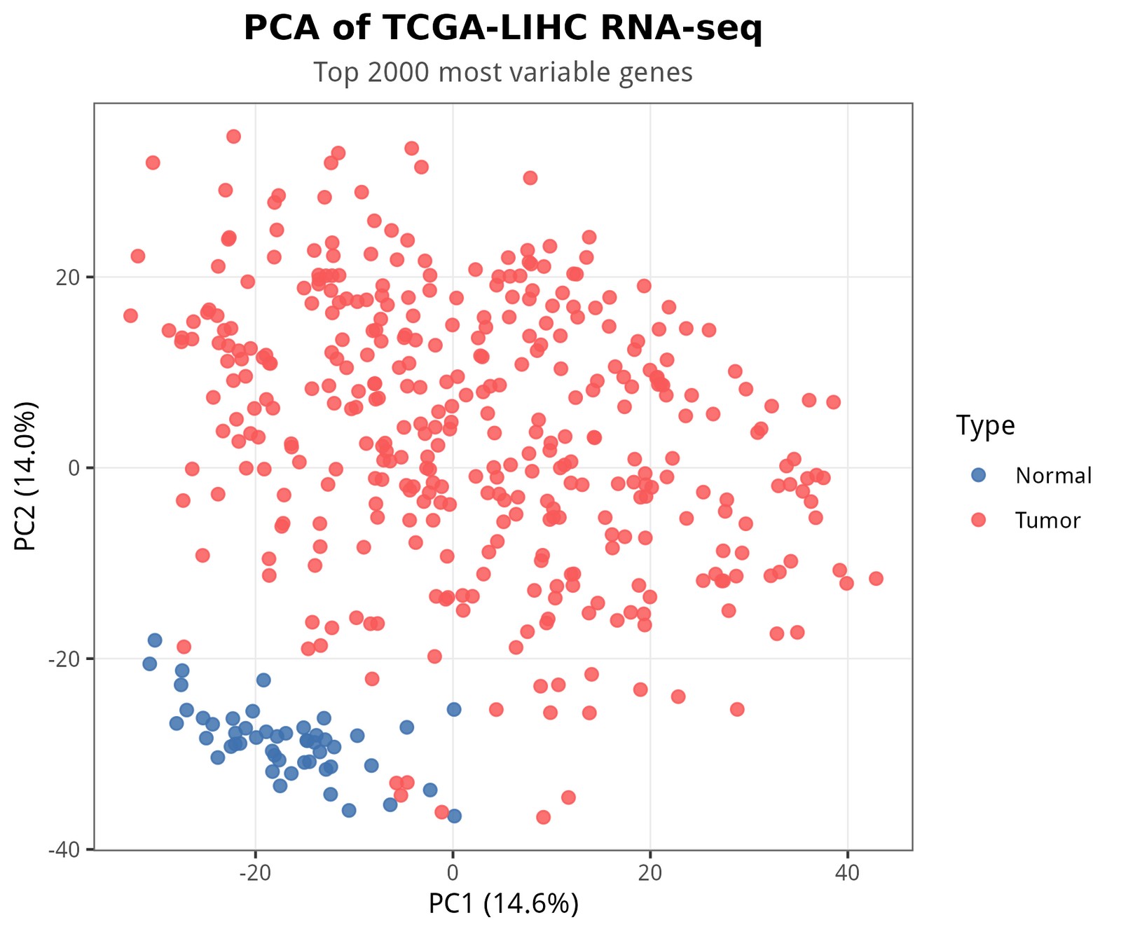 TCGA-LIHC 肝癌转录组实战（上）