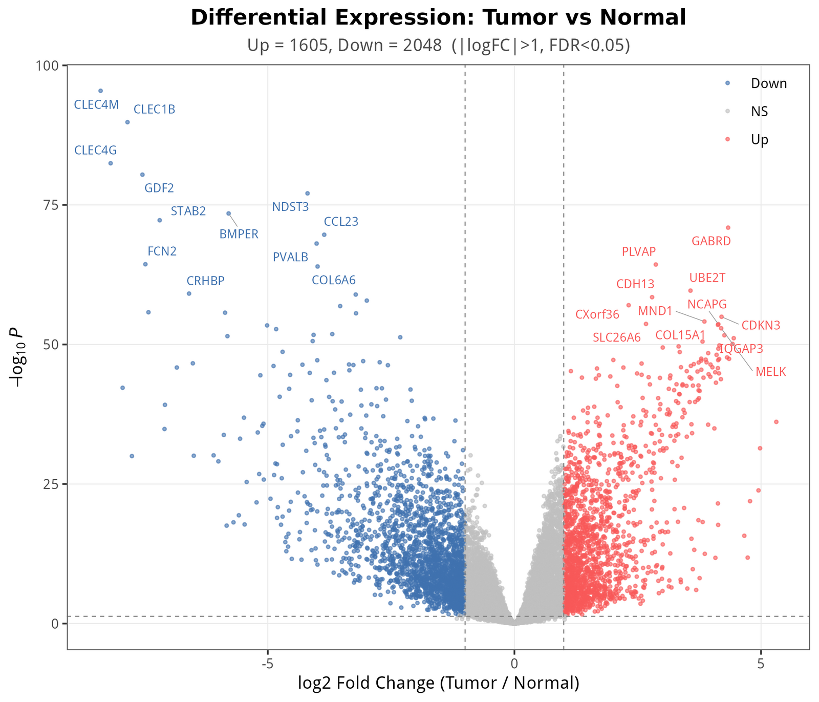 Tumor vs Normal 差异基因火山图。红色为上调（n = 1 605）、蓝色为下调（n = 2 048）。标签为各方向 P 值 top 12 的代表基因。