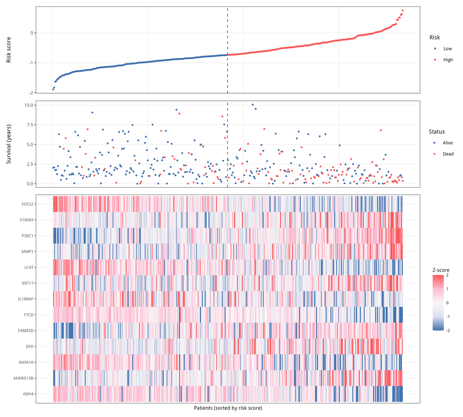上：按风险评分排序的散点（红 = High，蓝 = Low）；中：每例患者的生存时间 + 终点状态（实心点为死亡）；下：top 20 LASSO 基因的 z-score 热图。三层叠加直观给出：高风险一侧死亡更密、肝代谢基因（蓝）更弱、增殖