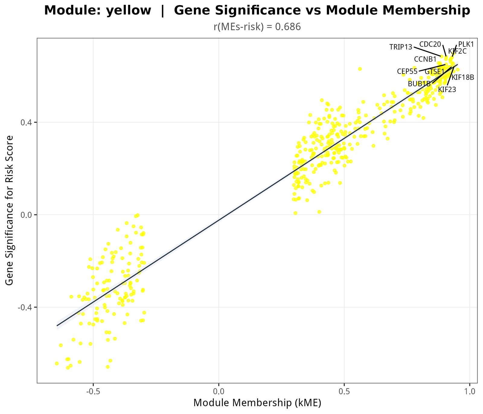 yellow 模块的 hub 散点：x 轴是模块隶属度 kME，y 轴是该基因与风险评分的相关 r。右上顶点的基因 = hub，图上自动标出了 |kME × GS| 排名前 15 的候选 hub。