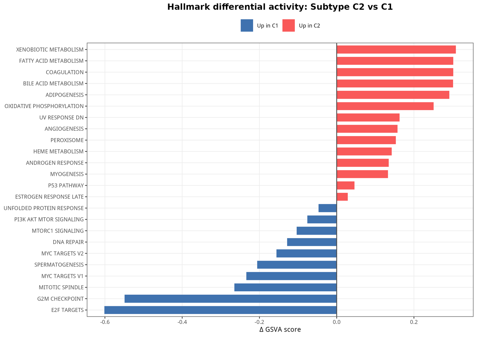 C2 vs C1 亚型差异 Hallmark。共有 30 条通路达显著（FDR<0.05），C2 富集方向与高风险组高度一致 —— 再次印证两套划分（连续风险 vs 离散亚型）捕捉到的是同一套生物学信号。