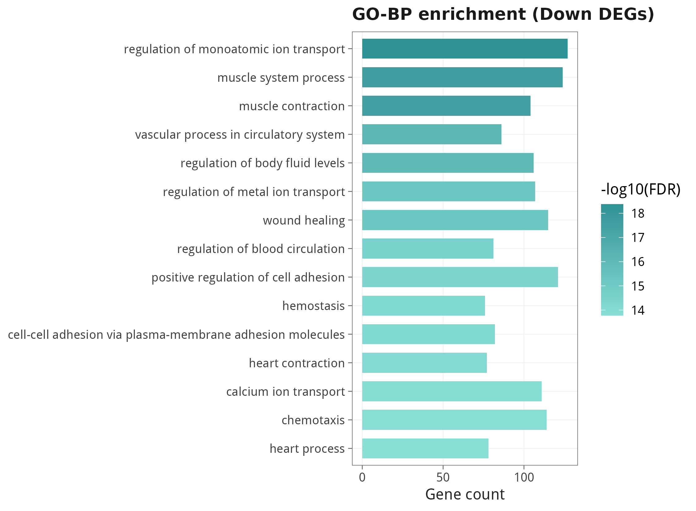 GO-BP enrichment of down-regulated DEGs
