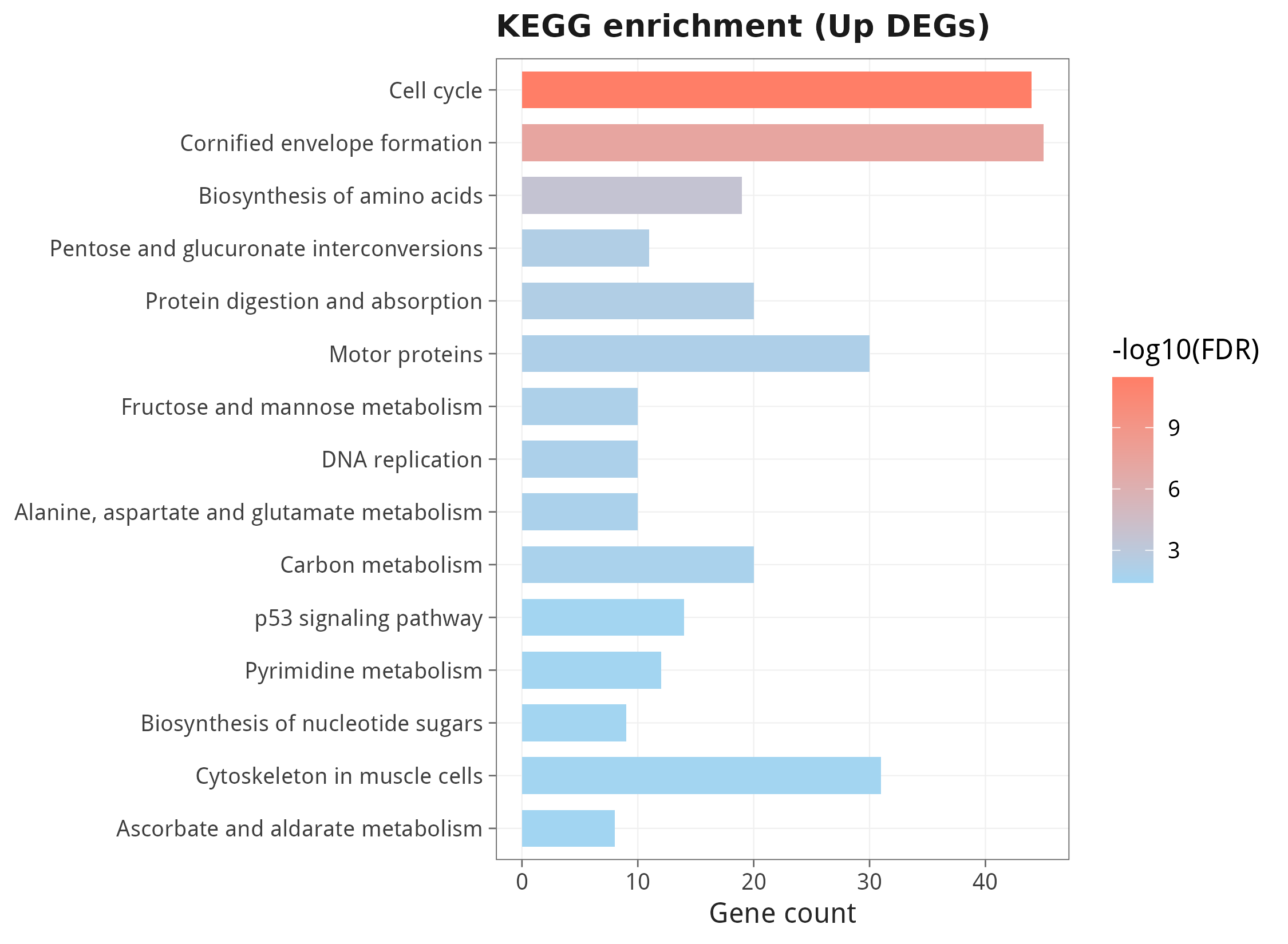 KEGG enrichment of up-regulated DEGs