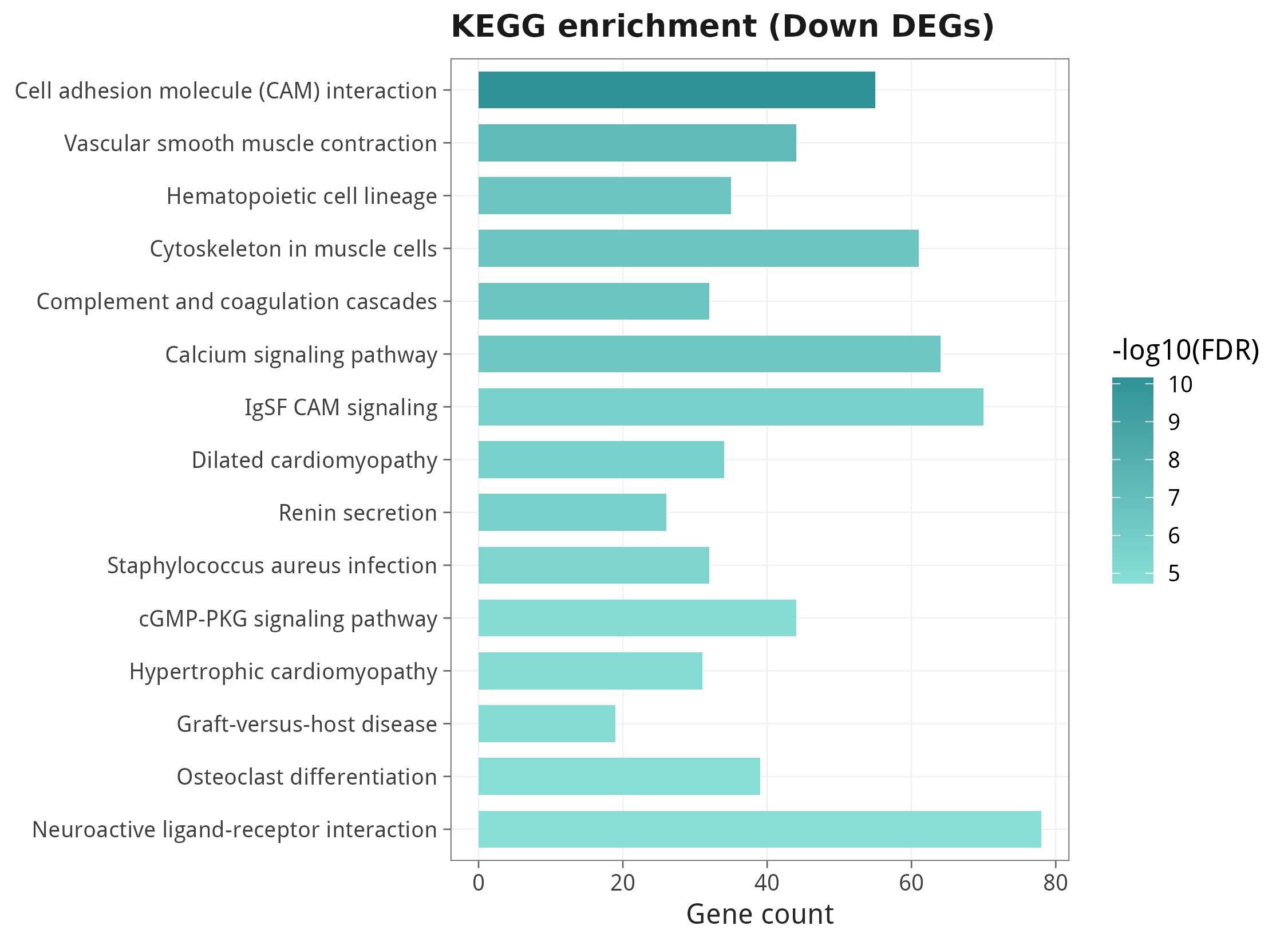 KEGG enrichment of down-regulated DEGs