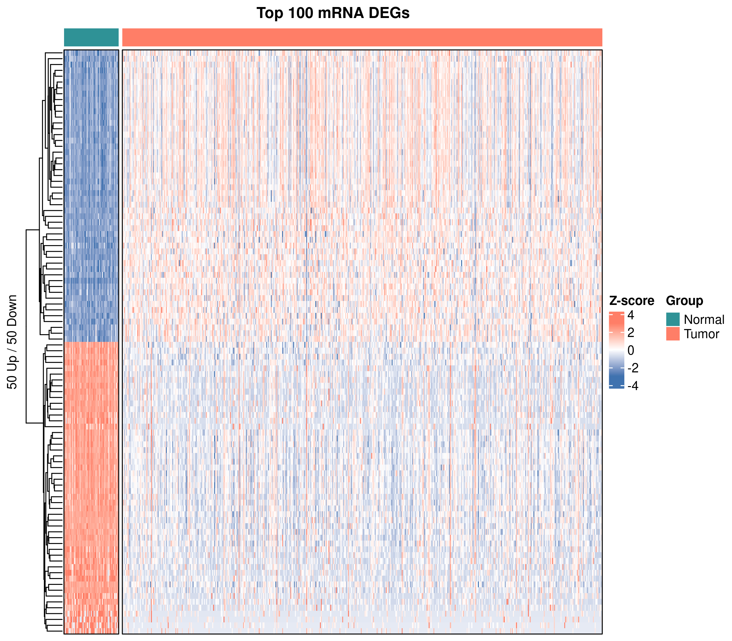 Top 50 上调 + 50 下调 mRNA 热图