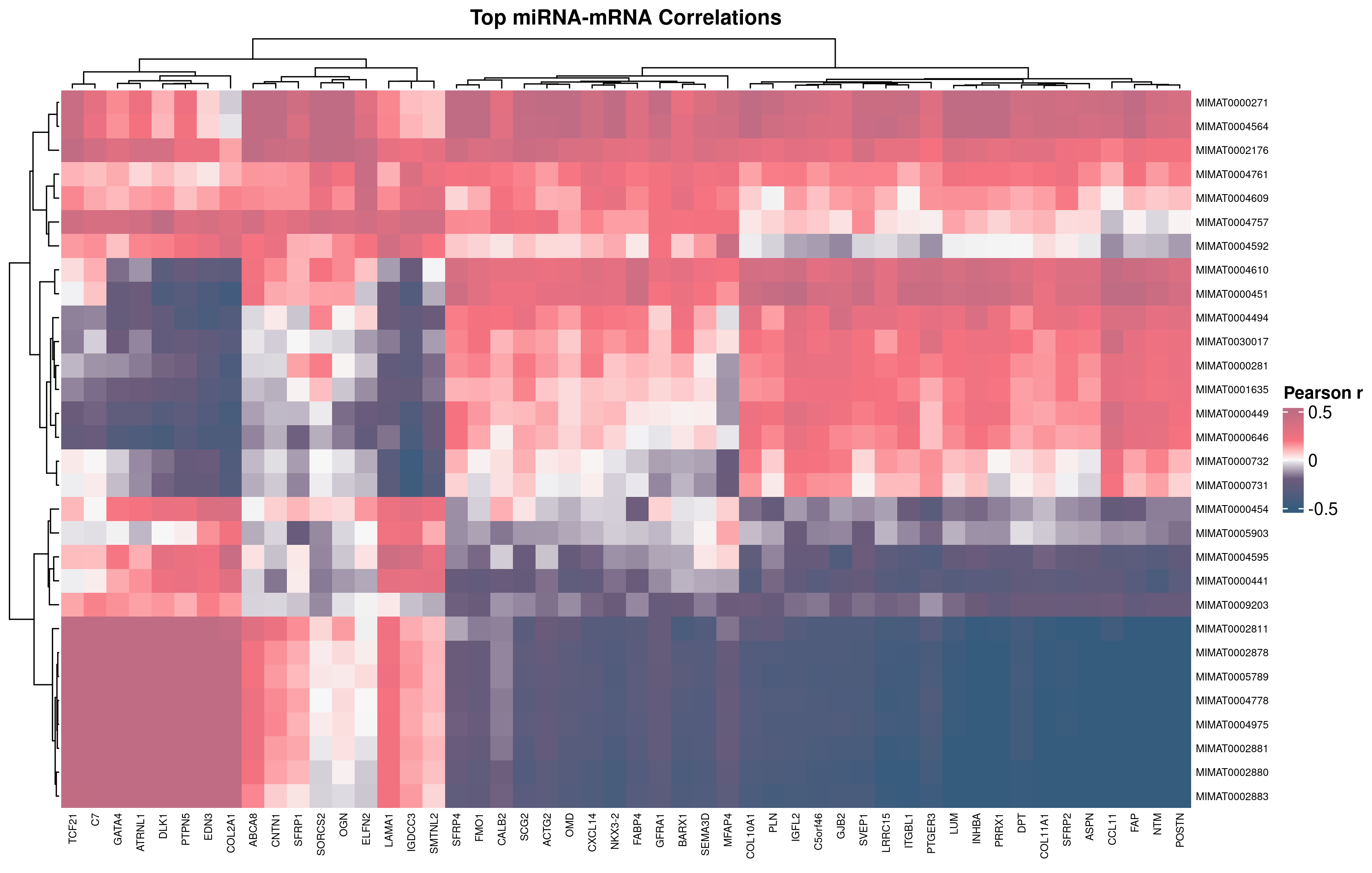 Top 30 miRNA × Top 50 mRNA 相关系数热图