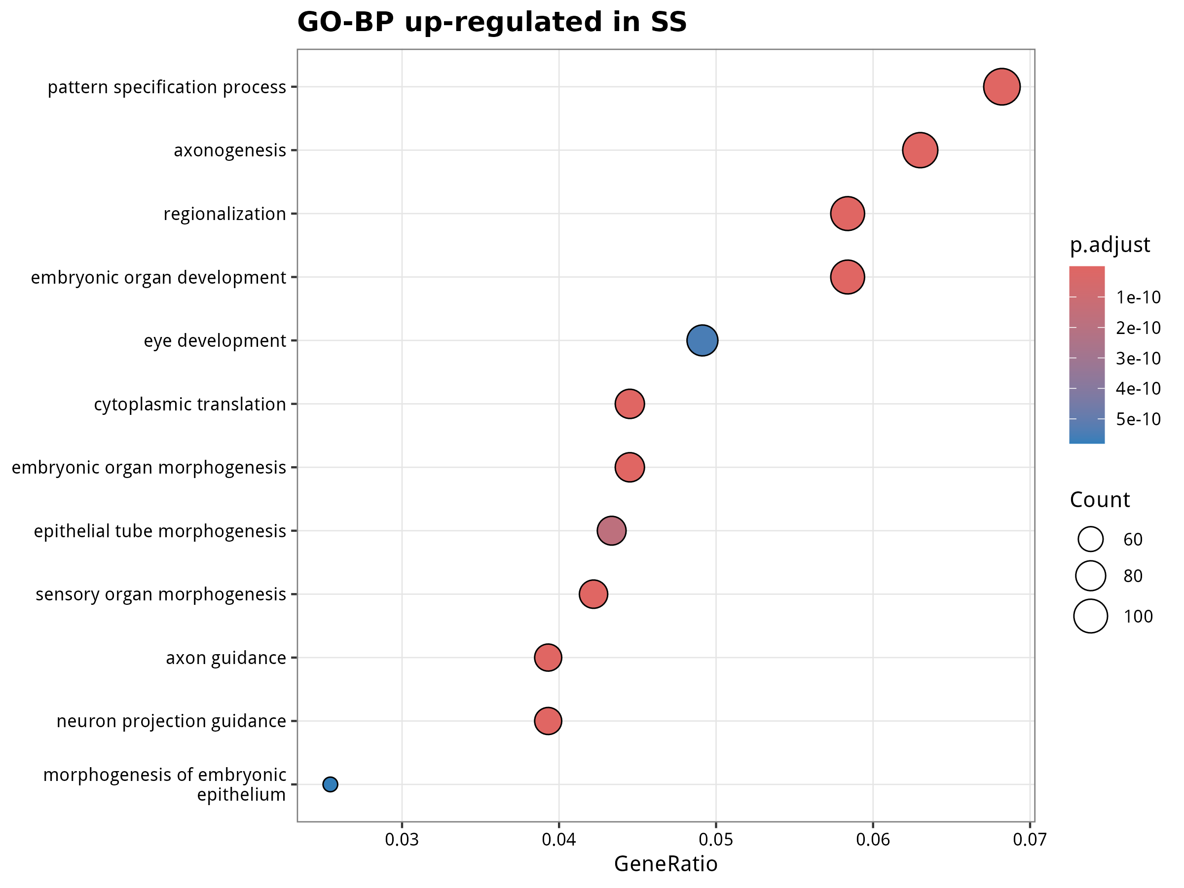 GO-BP enrichment for SS up-regulated genes