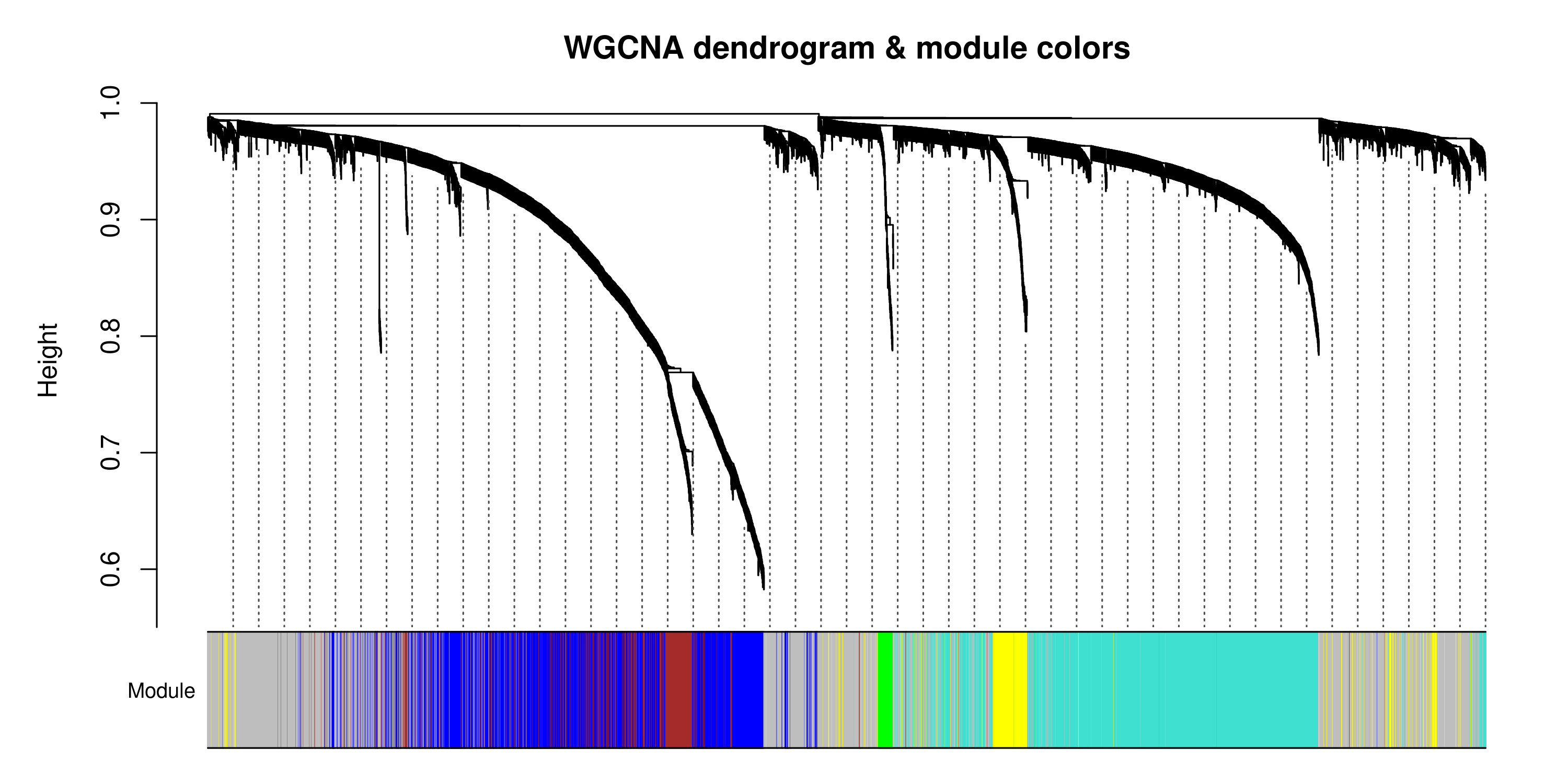 WGCNA dendrogram