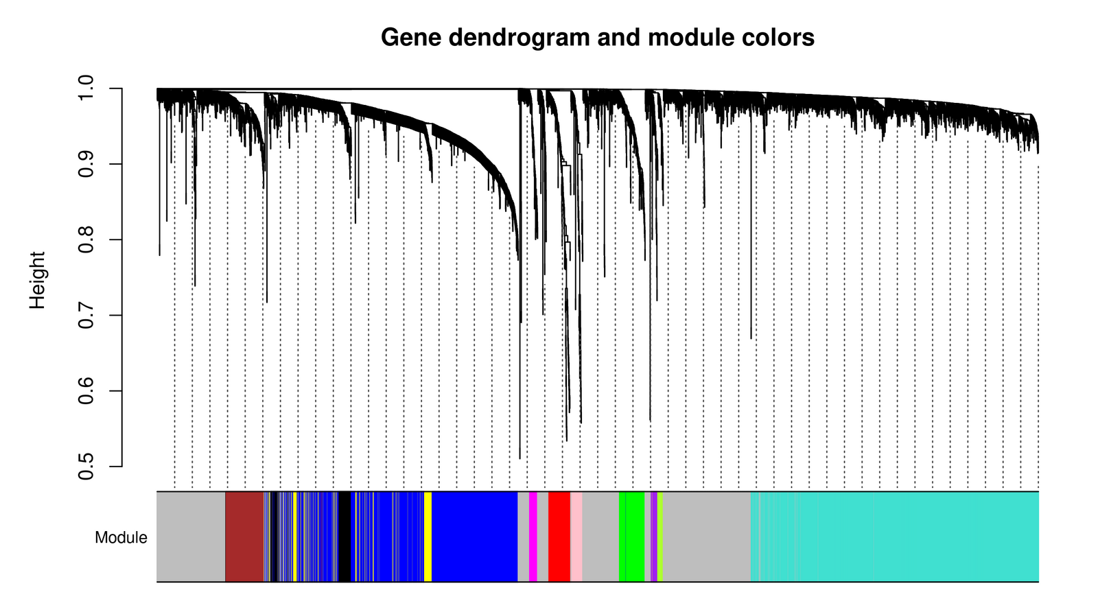 Gene dendrogram and module colour assignment (turquoise, blue, brown, yellow, green, red, black, pink, magenta + grey).