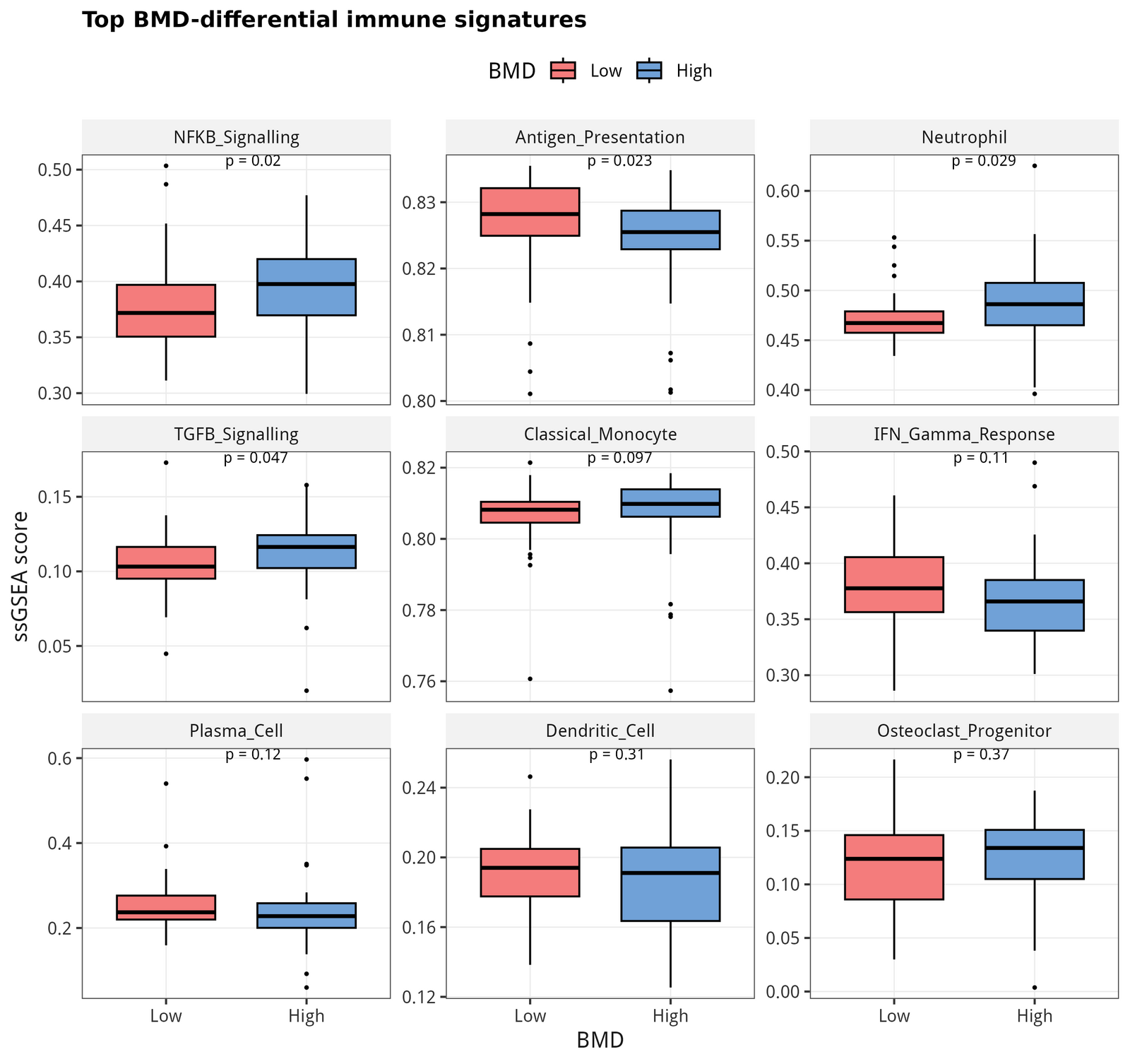 Top 9 BMD-differential signatures (Wilcoxon, ranked by raw p). NF-κB signalling, antigen presentation and neutrophil sco