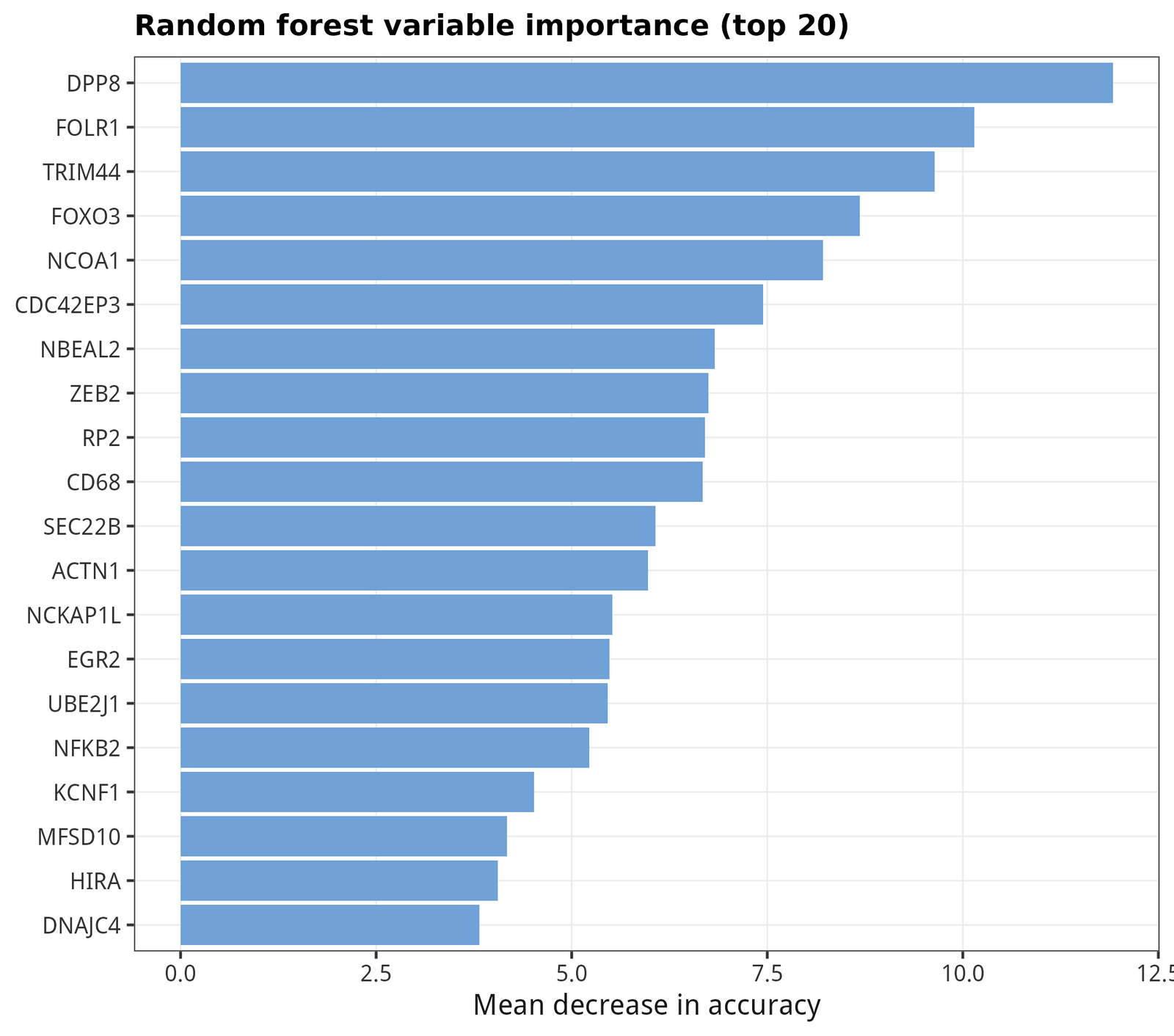 Random forest mean-decrease-in-accuracy (top 20).