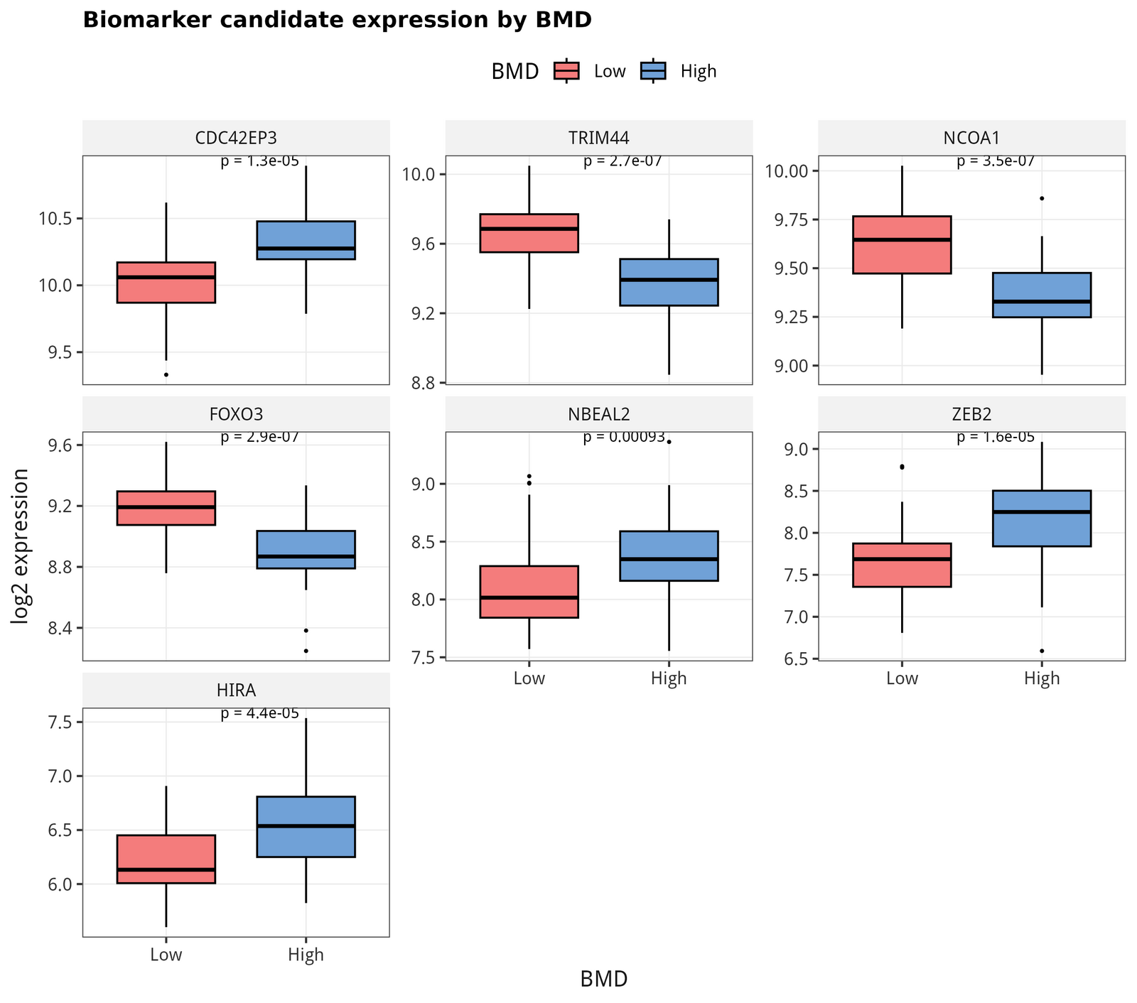 Per-gene boxplots of the panel by BMD, with Wilcoxon p shown.