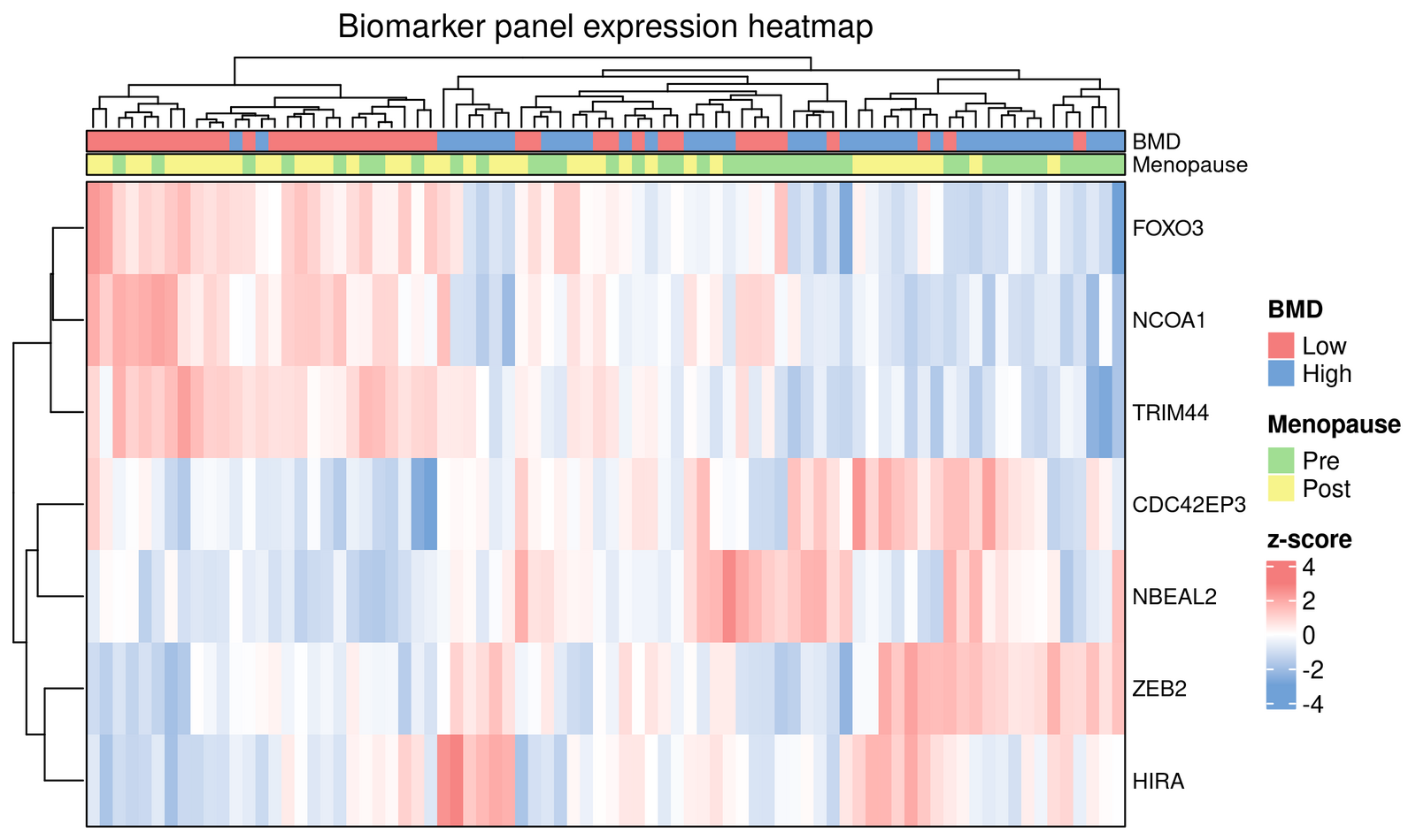 Panel expression z-score heatmap across all 80 samples.