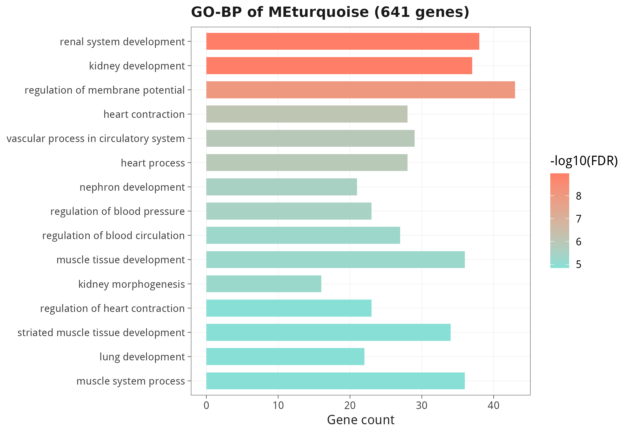 MEturquoise 模块 GO-BP enrichment